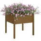 vidaXL Jardineras 2 uds madera maciza de pino marrón miel 70x70x70 cm vidaXL Jardineras 2 uds madera maciza de pino marrón miel 70x70x70 cm