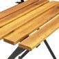 vidaXL Mesa y sillas bistró plegables 3 pzas madera maciza de acacia vidaXL Mesa y sillas bistró plegables 3 pzas madera maciza de acacia