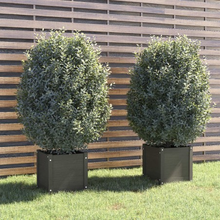 vidaXL Jardineras 2 uds madera maciza de pino gris 40x40x40 cm