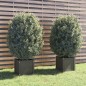 vidaXL Jardineras 2 uds madera maciza de pino gris 40x40x40 cm vidaXL Jardineras 2 uds madera maciza de pino gris 40x40x40 cm
