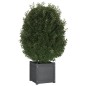 vidaXL Jardineras 2 uds madera maciza de pino gris 40x40x40 cm vidaXL Jardineras 2 uds madera maciza de pino gris 40x40x40 cm