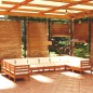 vidaXL Muebles de jardín 10 pzas y cojines madera de pino marrón miel