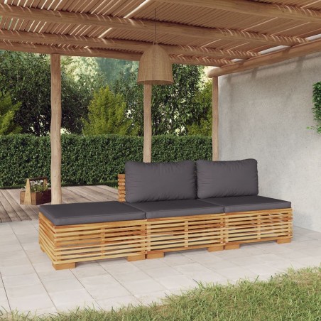 vidaXL Juego muebles de jardín 3 piezas y cojines madera maciza teca
