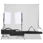 vidaXL Kit de estudio fotográfico con set de luces y fondo vidaXL Kit de estudio fotográfico con set de luces y fondo