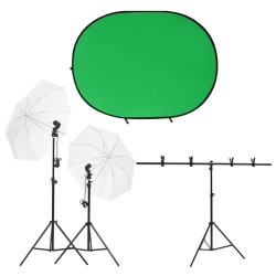 vidaXL Kit de estudio fotográfico con iluminación y fondo