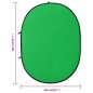 vidaXL Kit de estudio fotográfico con iluminación y fondo vidaXL Kit de estudio fotográfico con iluminación y fondo