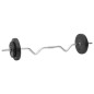 vidaXL Juego de barras y mancuernas con discos 60 kg vidaXL Juego de barras y mancuernas con discos 60 kg