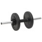 vidaXL Juego de barras y mancuernas con discos 60 kg vidaXL Juego de barras y mancuernas con discos 60 kg