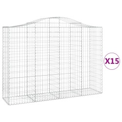 vidaXL Cestas gaviones 15 uds forma de arco hierro 200x50x140/160 cm