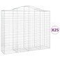 vidaXL Cestas gaviones 25 uds forma de arco hierro 200x50x160/180 cm vidaXL Cestas gaviones 25 uds forma de arco hierro 200x50x160/180 cm