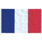 vidaXL Mástil y bandera de Francia aluminio 6,23 m