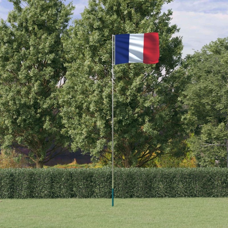 vidaXL Mástil y bandera de Francia aluminio 5,55 m vidaXL Mástil y bandera de Francia aluminio 5,55 m