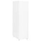 vidaXL Armario archivador móvil metal blanco 28x41x109 cm