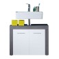 Trendteam Armario de lavabo Miami blanco y plateado ahumado