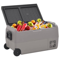 vidaXL Nevera con ruedas y adaptador PP y PE negro y gris 50 L