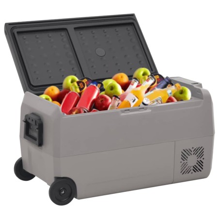 vidaXL Nevera con ruedas y adaptador PP y PE negro y gris 50 L
