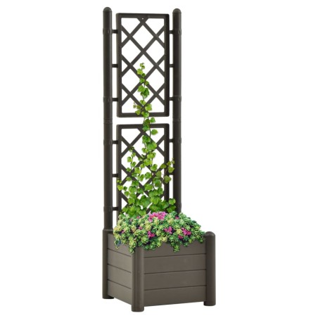 vidaXL Jardinera con enrejado PP gris antracita 43x43x142 cm 