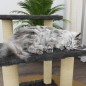 vidaXL Rascador para gatos con postes de sisal gris oscuro 50,5 cm vidaXL Rascador para gatos con postes de sisal gris oscuro 50,5 cm