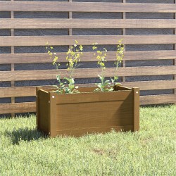 vidaXL Jardinera de madera maciza de pino marrón miel 60x31x31 cm