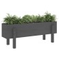 vidaXL Arriate elevado de jardín madera maciza pino gris 101x30x38 cm vidaXL Arriate elevado de jardín madera maciza pino gris 101x30x38 cm