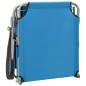 vidaXL Tumbona de jardín con toldo acero azul vidaXL Tumbona de jardín con toldo acero azul