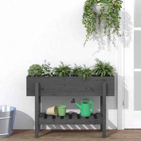 vidaXL Arriate elevado de jardín madera maciza pino gris 101x30x69 cm