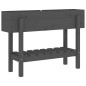 vidaXL Arriate elevado de jardín madera maciza pino gris 101x30x69 cm vidaXL Arriate elevado de jardín madera maciza pino gris 101x30x69 cm
