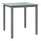 vidaXL Mesa de jardín de aluminio y vidrio gris claro 80x80x74 cm vidaXL Mesa de jardín de aluminio y vidrio gris claro 80x80x74 cm