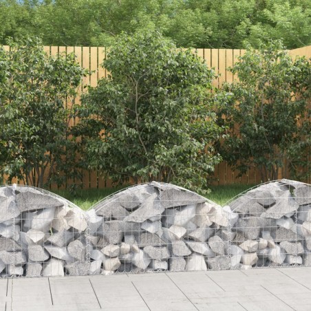 vidaXL Cesta de gaviones forma arco hierro galvanizado 100x30x40/60 cm