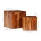 vidaXL Mesa de centro de madera maciza sheesham 2 unidades 40x40x40 cm vidaXL Mesa de centro de madera maciza sheesham 2 unidades 40x40x40 cm