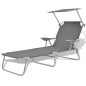 vidaXL Tumbona de jardín con toldo acero gris vidaXL Tumbona de jardín con toldo acero gris