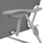 vidaXL Tumbona de jardín con toldo acero gris vidaXL Tumbona de jardín con toldo acero gris