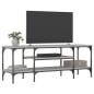 vidaXL Mueble TV madera ingeniería y hierro gris Sonoma 121x35x45 cm