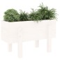 vidaXL Jardinera madera maciza de pino blanco 62x30x38 cm vidaXL Jardinera madera maciza de pino blanco 62x30x38 cm