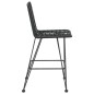 vidaXL Taburetes de cocina 2 uds ratán PE y acero negro 45x56x103,5 cm vidaXL Taburetes de cocina 2 uds ratán PE y acero negro 45x56x103,5 cm
