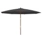 vidaXL Sombrilla de jardín con poste de madera negro 400x273 cm vidaXL Sombrilla de jardín con poste de madera negro 400x273 cm