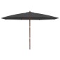 vidaXL Sombrilla de jardín con poste de madera negro 400x273 cm vidaXL Sombrilla de jardín con poste de madera negro 400x273 cm
