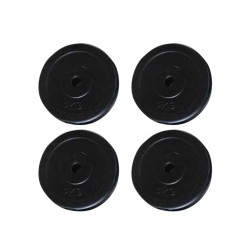 vidaXL Discos de pesas 4 unidades 20 kg