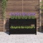 vidaXL Jardinera de madera maciza de pino negro 112x25x66 cm