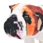 vidaXL Perro bulldog de peluche de pie blanco y marrón XXL vidaXL Perro bulldog de peluche de pie blanco y marrón XXL