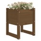 vidaXL Jardinera 2 uds madera maciza de pino marrón miel 40x40x52,5 cm vidaXL Jardinera 2 uds madera maciza de pino marrón miel 40x40x52,5 cm