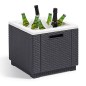 Keter Nevera Ice Cube color grafito