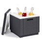 Keter Nevera Ice Cube color grafito