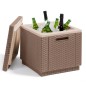 Keter Nevera Ice Cube capuchino 223761 Keter Nevera Ice Cube capuchino 223761