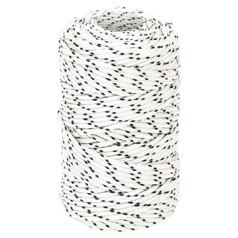 vidaXL Cuerda para barco trenzada poliéster blanco 2 mm x 100 m vidaXL Cuerda para barco trenzada poliéster blanco 2 mm x 100 m