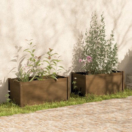 vidaXL Jardineras 2 uds madera maciza de pino marrón miel 100x50x50 cm
