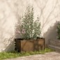vidaXL Jardineras 2 uds madera maciza de pino marrón miel 100x50x50 cm vidaXL Jardineras 2 uds madera maciza de pino marrón miel 100x50x50 cm