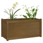 vidaXL Jardineras 2 uds madera maciza de pino marrón miel 100x50x50 cm vidaXL Jardineras 2 uds madera maciza de pino marrón miel 100x50x50 cm