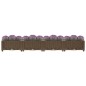 vidaXL Arriate 160x40x23 cm polipropileno vidaXL Arriate 160x40x23 cm polipropileno