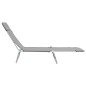 vidaXL Tumbonas plegables 2 unidades acero y tela gris vidaXL Tumbonas plegables 2 unidades acero y tela gris